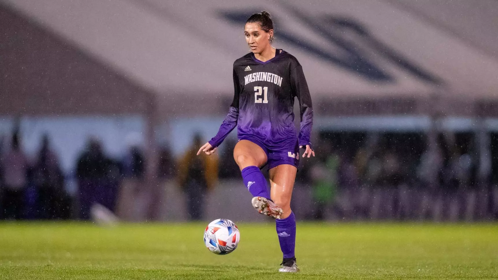 馬的百場紀 馬的百場紀