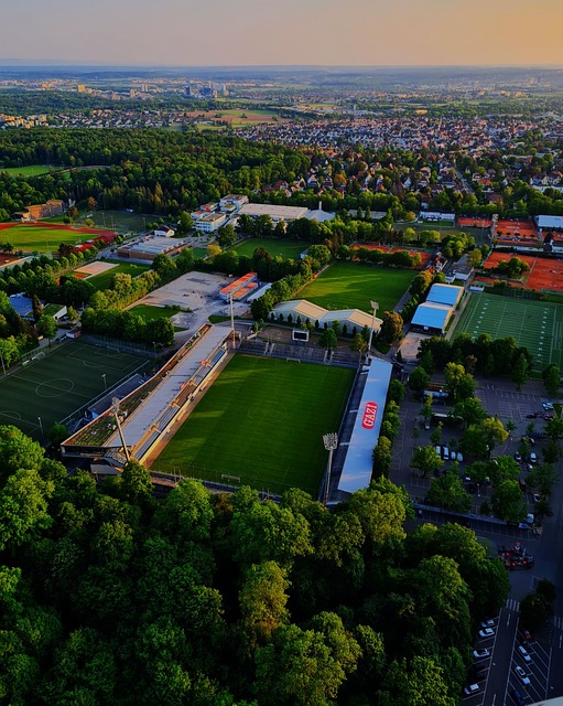 义了赛季的 义了赛季的