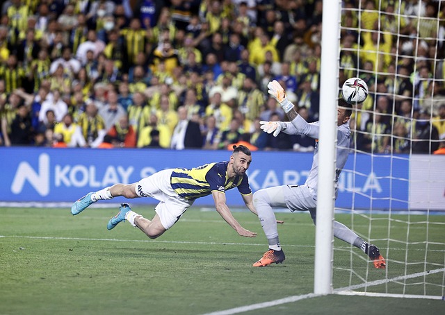 全勤赛季高 全勤赛季高