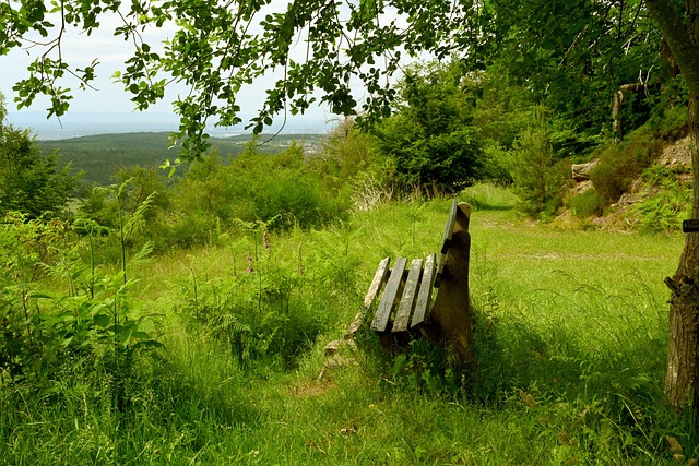 业的无限热 业的无限热